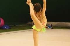 IMG_1628-01