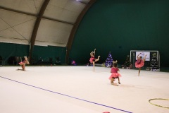 IMG_2341-01