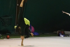 IMG_2648-01