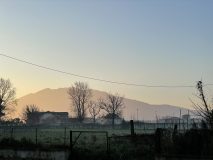 IMG_3968