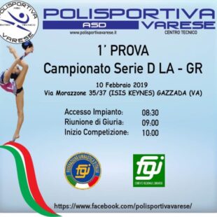 Silver SERIE D LA  – GR