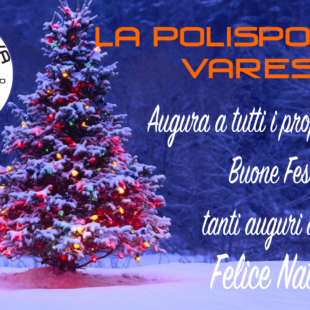 Buon Natale e felice anno nuovo